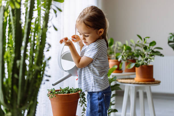 Little girl watering houseplants stock photo