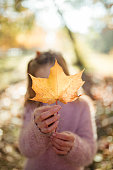 Portrait of a little girl holding up an autumn leaf to conceal her face.