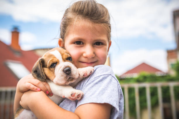 Little girl with her dog Little girl with her dog beautiful young brunette girl playing with her dog stock pictures, royalty-free photos & images