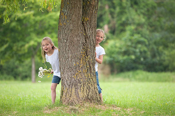 little girls playing hide and seek stock photo