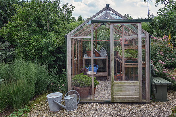 Little greenhouse in the garden. Little greenhouse on the territory of the garden. greenhouse table stock pictures, royalty-free photos & images