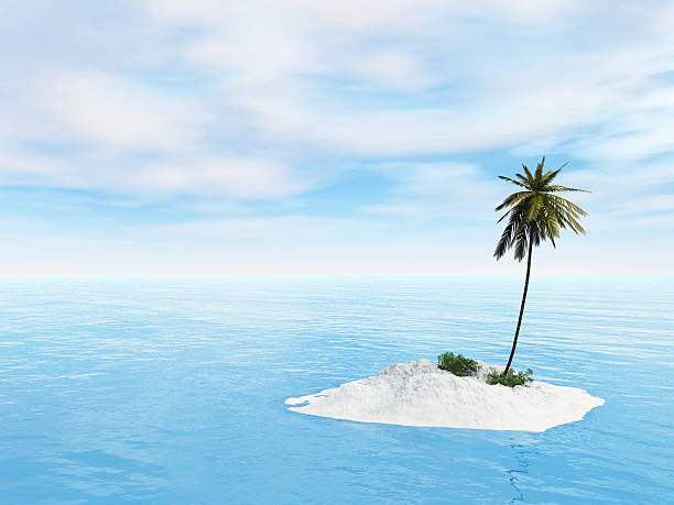 Little island with sand and beaches Mini Island with one Palm tree desert island stock pictures, royalty-free photos & images