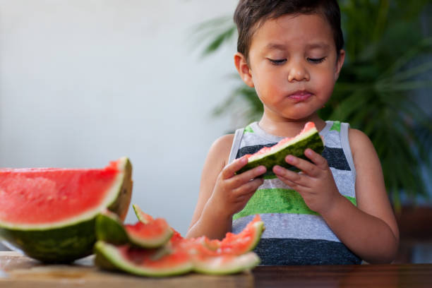 Little kid eating refreshing watermelon slices, cut into kid-friendly wedges, during summer. stock photo