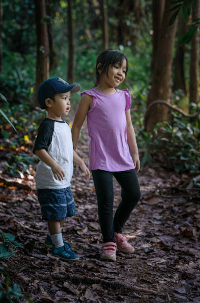 Little kids exploring the wild during their family hiking activity stock photo