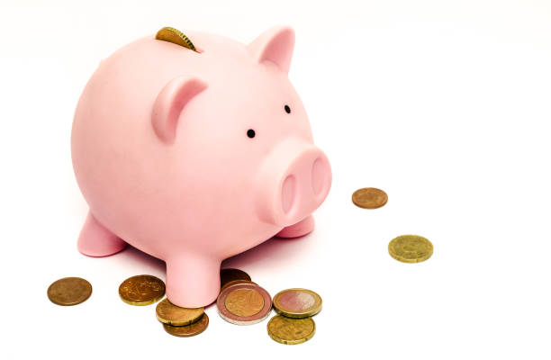 Little piggy bank saving money for kids and adolt Little piggy bank saving . Small investment building up to larger. Teach children to save by example. Younger generation looking up to older wiser parents mentors piglet stock pictures, royalty-free photos & images