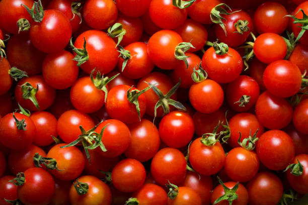 Little red cherry tomatoes nature background. stock photo