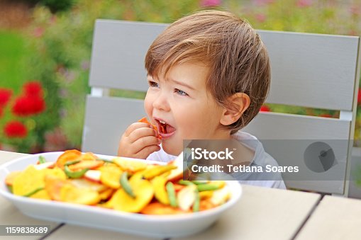 istock Little toddler boy eating dried carrot vegetable and fruit chips sitting at table in garden outdoors. Natural healthy organic snack for child. 1159838689