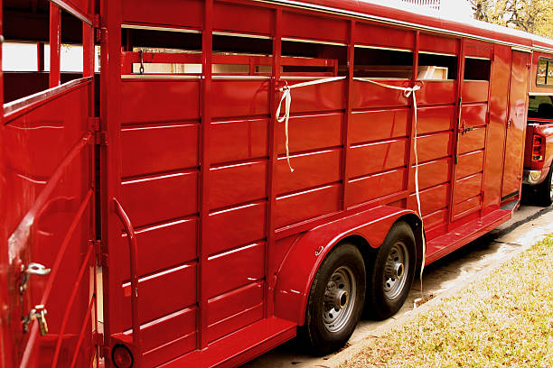 Livestock Trailer stock photo