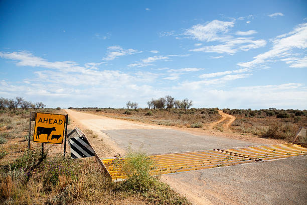 Livestock warning sign in Australian outback Livestock warning sign. In the remote areas of Australia, many of the huge paddocks are unfenced, so drivers have to take care. cattle grid stock pictures, royalty-free photos & images