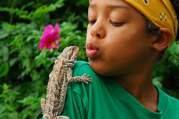 Lizard perched on boy's shoulder in tropical garden Boy with his "best" friend: A bearded agama. lizard photos stock pictures, royalty-free photos & images
