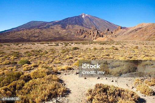 istock Llano de Ucanca - Teide's National Park 614648030