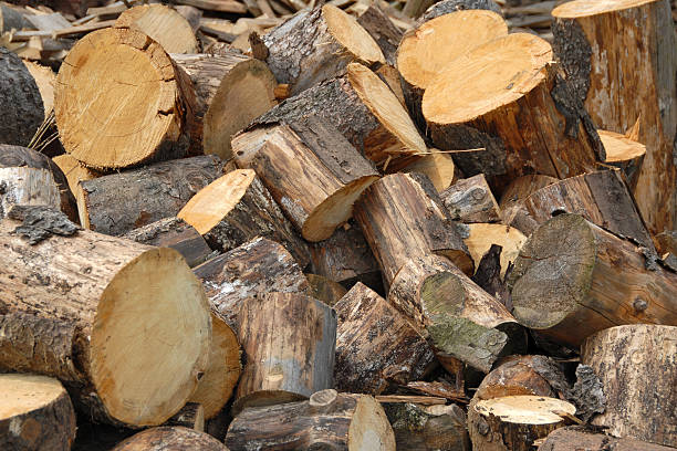 load of logs stock photo