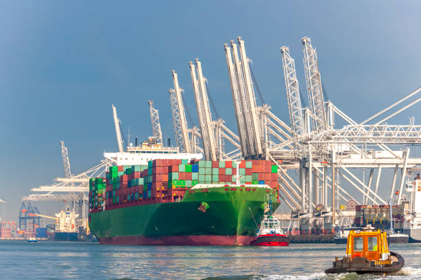 laden van vrachtcontainer schip in commercieel dok - rotterdam stockfoto's en -beelden