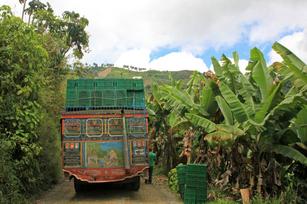 Loading truck with bananas for transporting, near El Jardin Antioquia, Colombia stock photo
