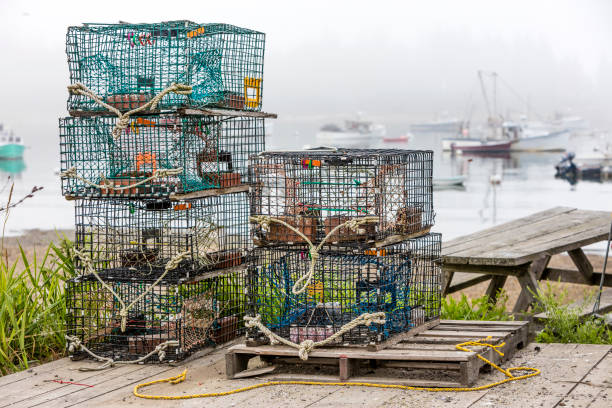 Lobster and crab pots Lobster and crab pots on a dock in Maine crabbing stock pictures, royalty-free photos & images
