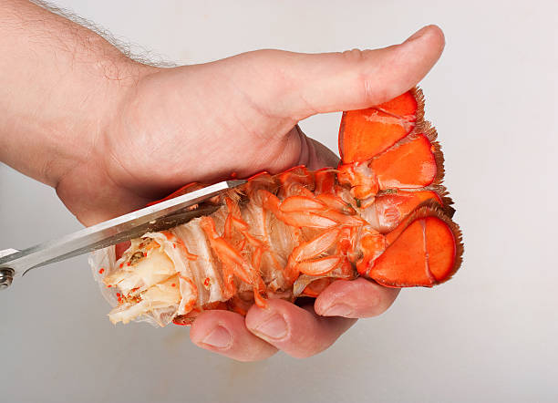 Lobster, cutting of tail stock photo