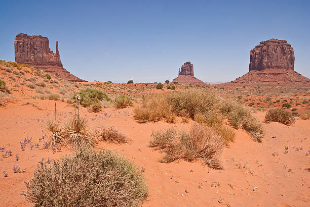 The Mittens and Merrick Butte Located on the Arizona/Utah border at an elevation of 5200 feet, Monument Valley is filled with unique sandstone formations. This scene is of the iconic Mittens and Merrick Butte. Monument Valley Tribal is located near Oljato, Utah, USA. jeff goulden monument valley stock pictures, royalty-free photos & images