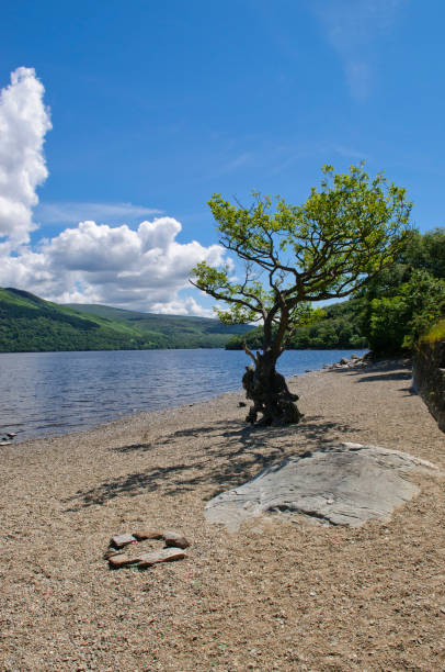Loch Lomond in summer stock photo
