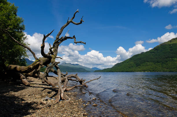 Loch Lomond stock photo
