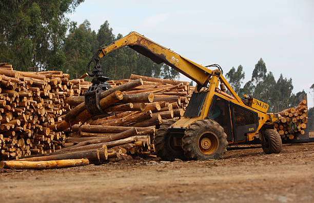 Logging machine stock photo