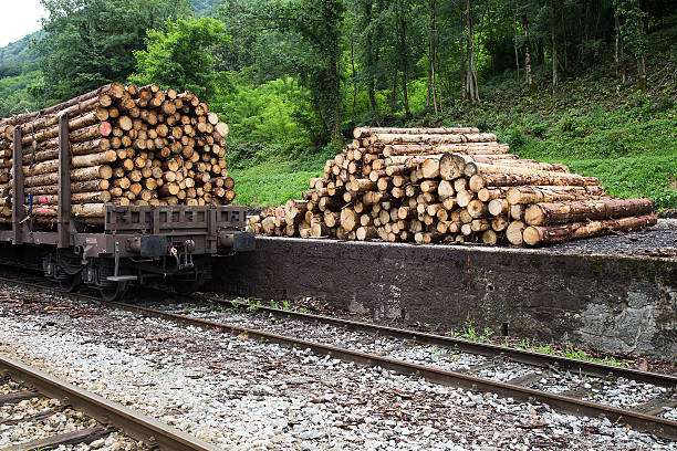 Logs for Transportation with Freigh Train - Railway Station stock photo