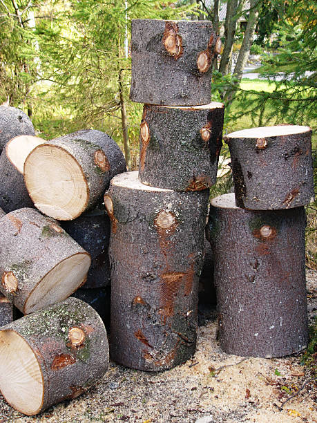 logs stock photo