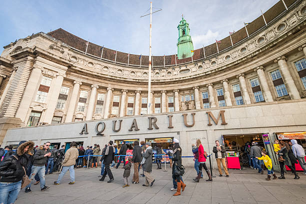 London Aquarium stock photo
