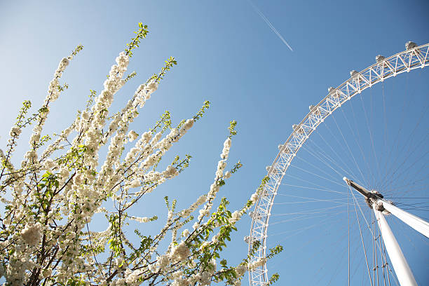 London Eye in Spring stock photo