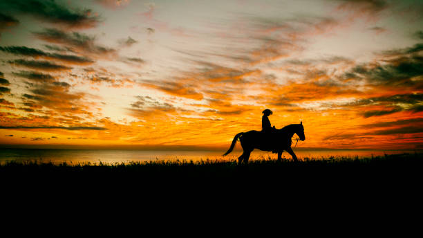 lone cowboy - cowboy horse bildbanksfoton och bilder