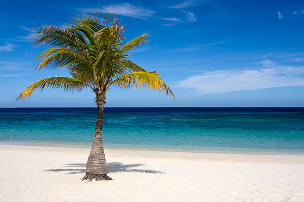 Einsame  Insel  Bilder und Stockfotos iStock  Einsame  Insel  Bilder und Stockfotos iStock