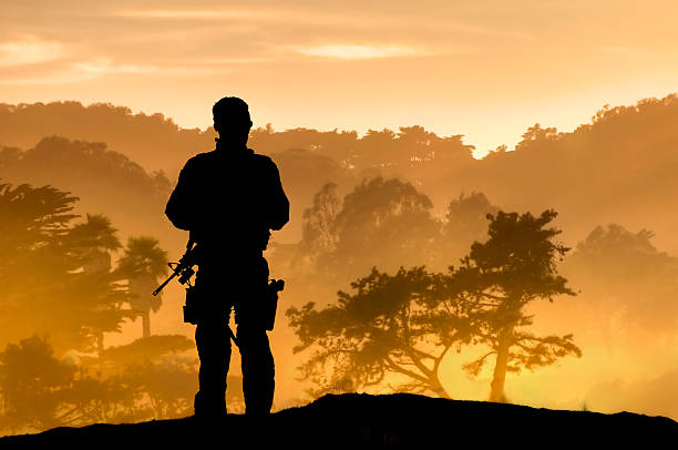 Lone Soldier Overlooking Tropical Forest stock photo