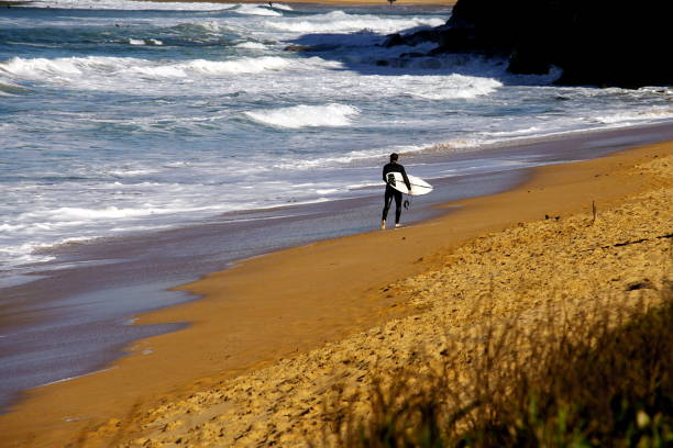 Lone surfer at the beach stock photo
