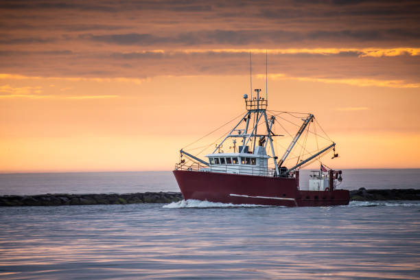 A lone trawler returns home through the inlet Fishing boat returns to port after a long night - at Barnegat Inlet fishing boat stock pictures, royalty-free photos & images