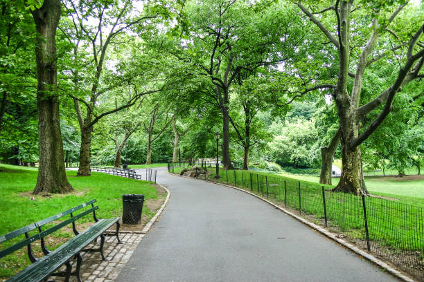 Lonely Central Park, New York City stock photo