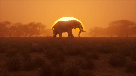 Lonely elephant walking at sunset. 3D generated image.