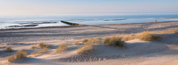 eenzame cijferwandelingen langs strand van noordzee in nederlandse provincie zeeland onder blauwe hemel in de lente - zeeland stockfoto's en -beelden