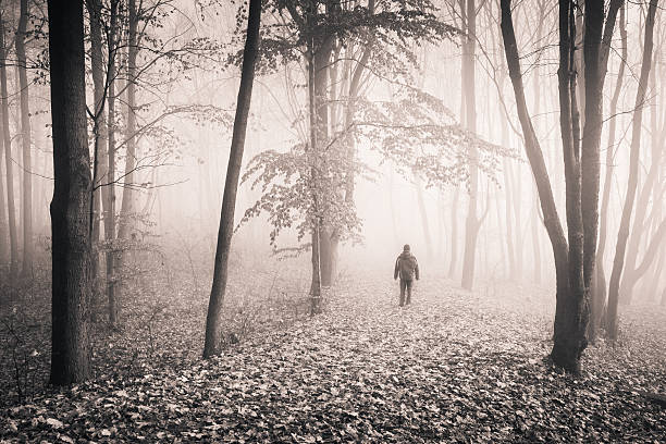 B&W Lonely Man on the Path - Foggy Autumn Forest stock photo