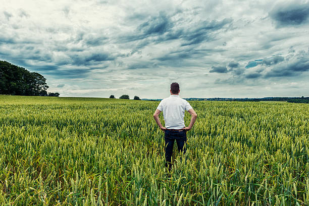 lonesome-man-in-the-middle-of-a-field-picture-id500176643