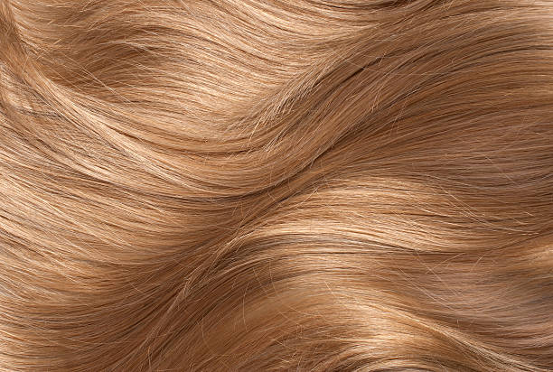 Long blond human shiny hair Wavy blonde human hair background blond hair stock pictures, royalty-free photos & images