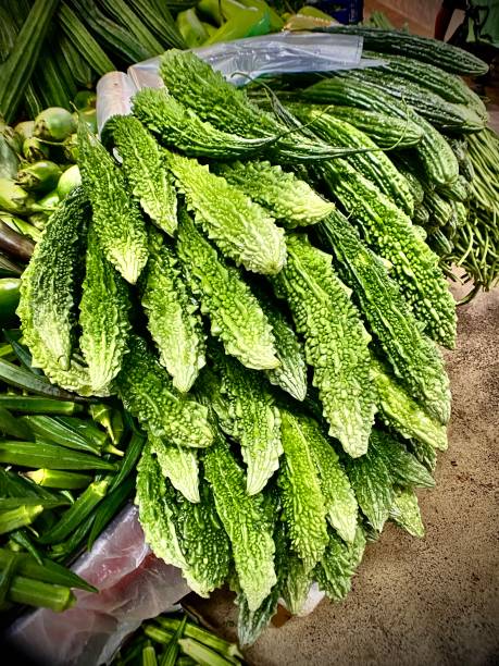 long green and prickly, the bitter gourd, karela (momordica charantia) for sale at the mercato centrale firenze. stock photo