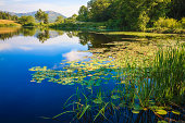 istock Long Pond, Maine, deep blue water lake, lily pads, grasses 165615108