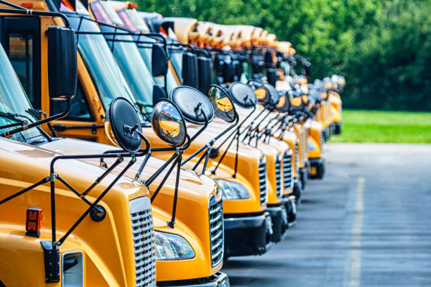 Long Row of Bright Yellow School Buses Parked in High School Parking Lot stock photo