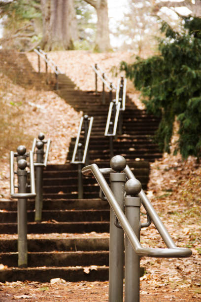 conjunto largo de escaleras atravesando el bosque en highland park rochester, nueva york - highland park fotografías e imágenes de stock