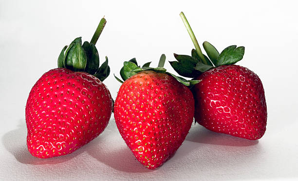 Long Stem Strawberries stock photo