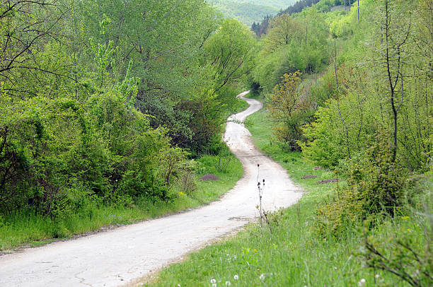 Long winding dirt road in the mountains in the spring.
