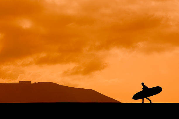 Longboarder at Sunset stock photo