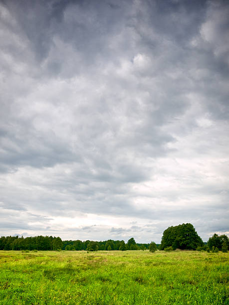 looking across a grass field as the storm clouds move in - bewolkt stockfoto's en -beelden