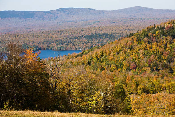 Looking at the Adirondacks Tupper Lake and the Adirondack Mountains in Autumn tupper lake stock pictures, royalty-free photos & images