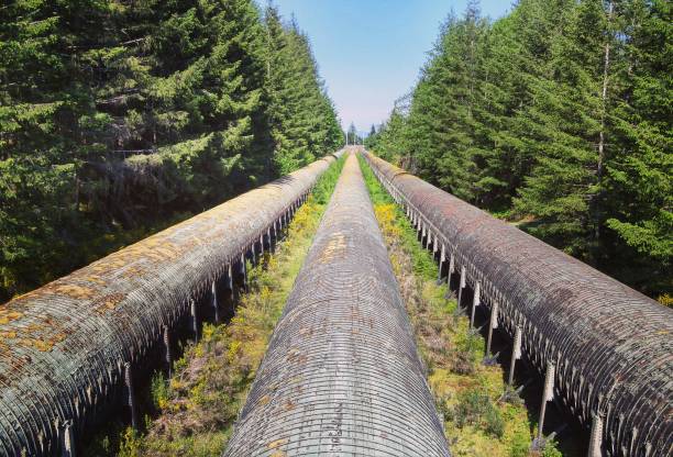 Looking down old enormous water pipes in the forest stock photo