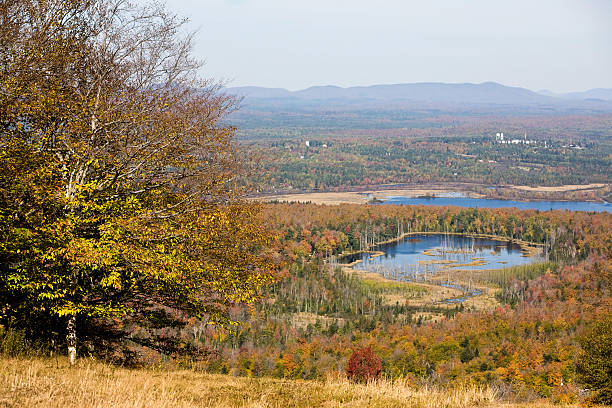 Looking down the hill Looking down at Tupper Lake in autumn tupper lake stock pictures, royalty-free photos & images